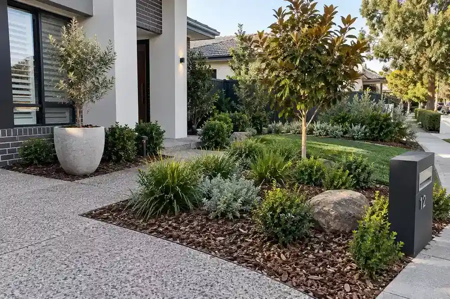 Low-maintenance Melbourne garden with structured planting and mulch